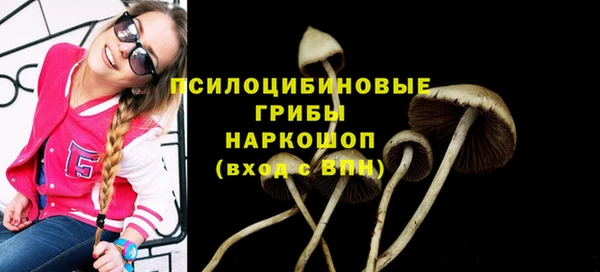 герыч Алексин